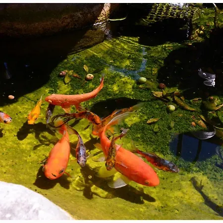 Апартаменты Il Villino