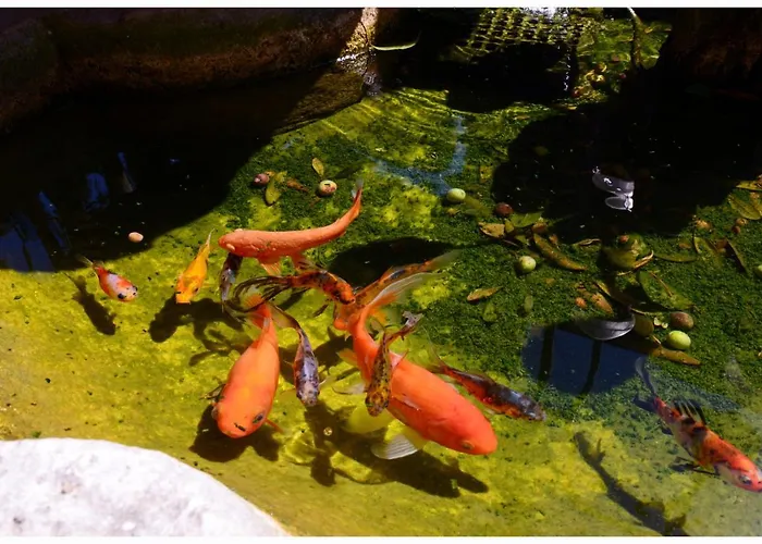 Apartamento Il Villino